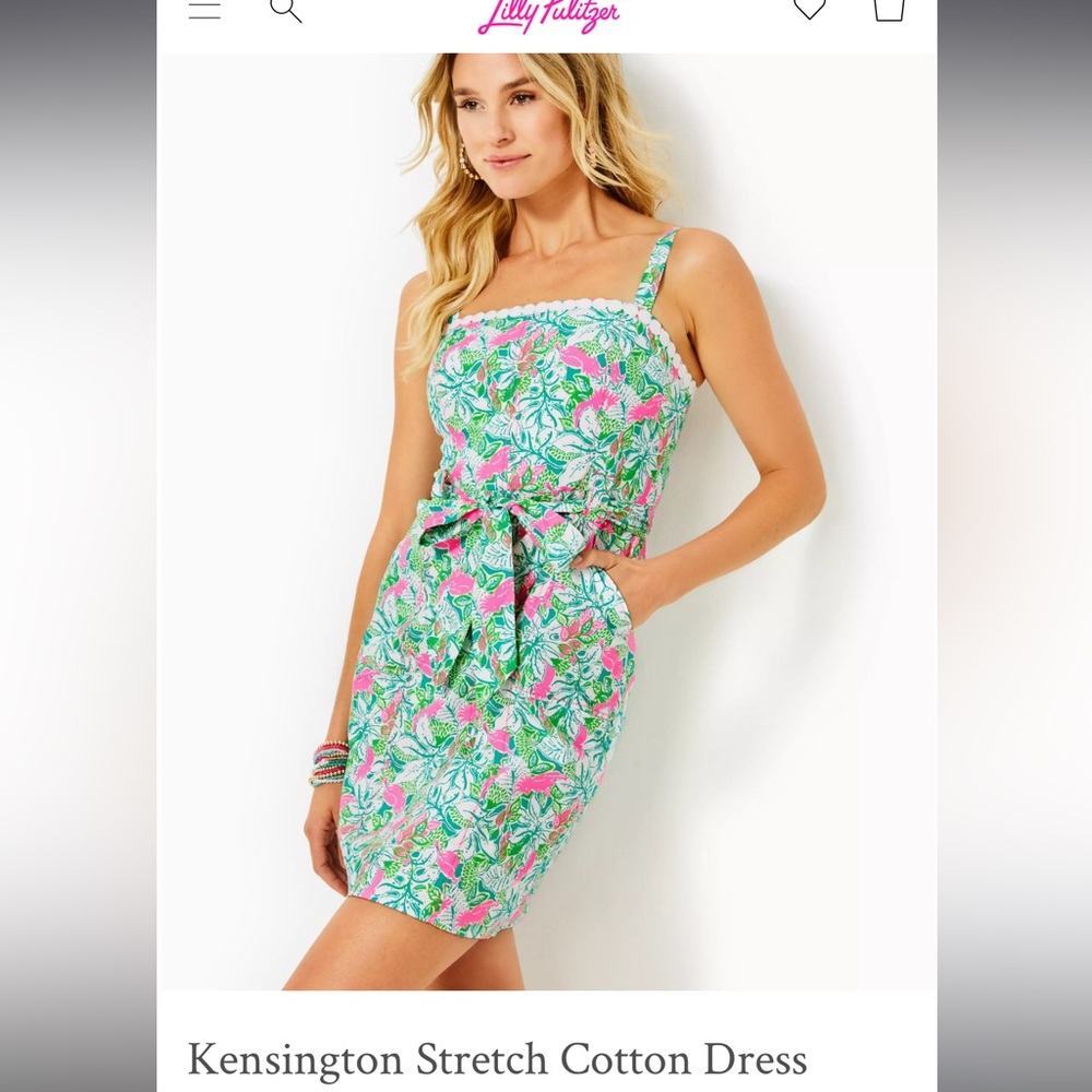 NWT Kensington Stretch Cotton Dress in Botanical Green Just Wing It Size 6